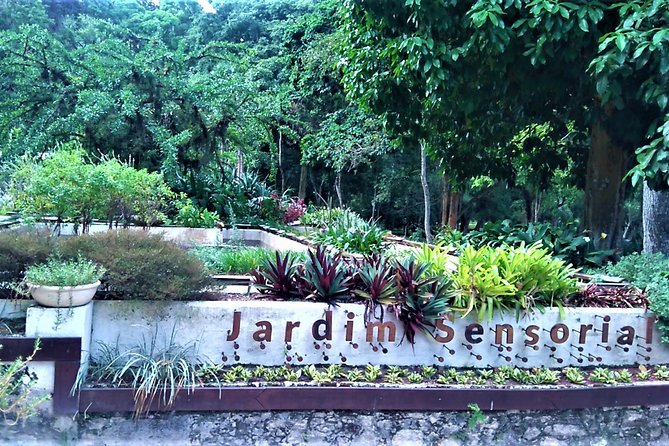 Botanical Garden, a Place of Science, Culture, and Leasure - What to wear and how to prepare