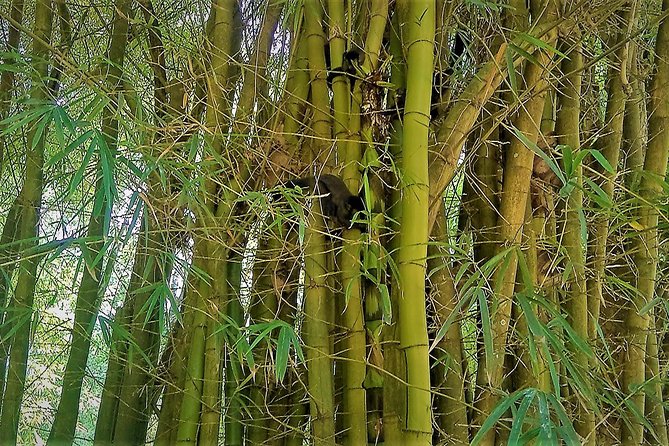 Botanical Garden, a Place of Science, Culture, and Leasure - Who will enjoy this experience most?