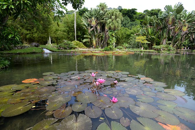 Botanical Garden and Parque Lage Private Tour with a Photographer - Hotel pickup makes a short Rio visit easier