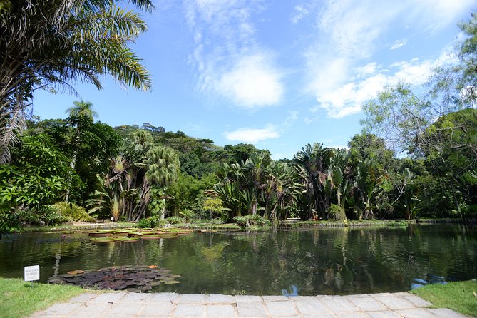 Botanical Garden and Parque Lage Private Tour with a Photographer - Should you book this Rio photo tour?
