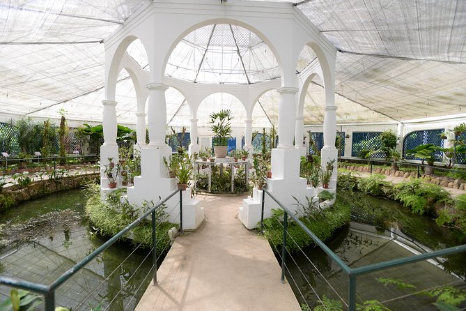 Botanical Garden and Parque Lage Private Tour with a Photographer - FAQ