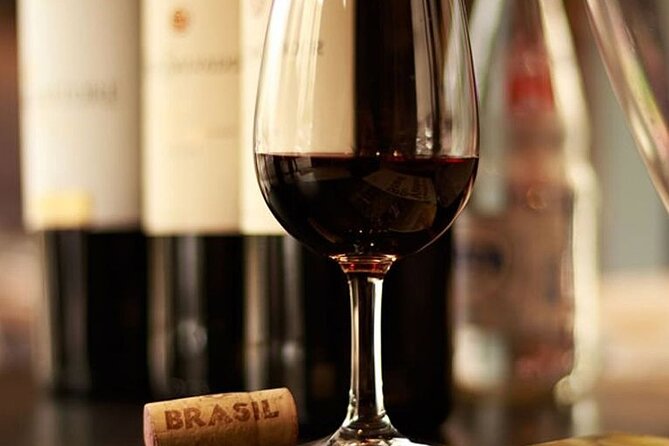 Brazilian BBQ Guided Dinner in Rio with Wine Pairing - What the wine pairing really adds