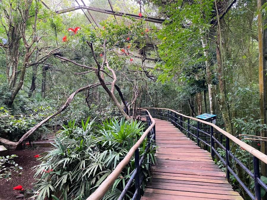 Brazilian Falls, Bird Park and Itaipu Dam - Booking, cancellation, and practical details