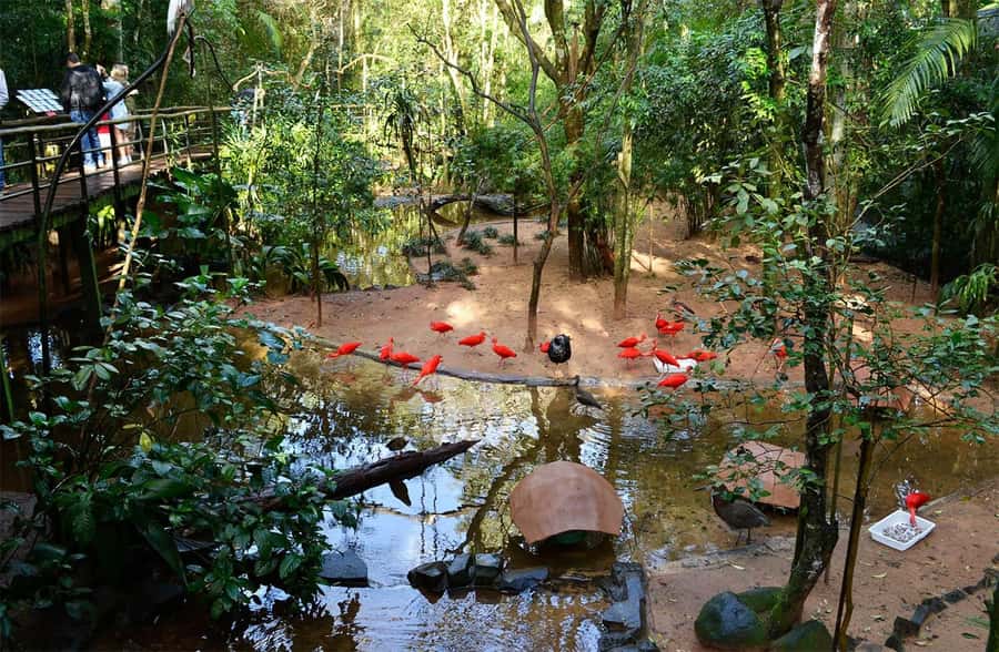 Brazilian Falls, Bird Park and Itaipu Dam - What the $160 price really buys