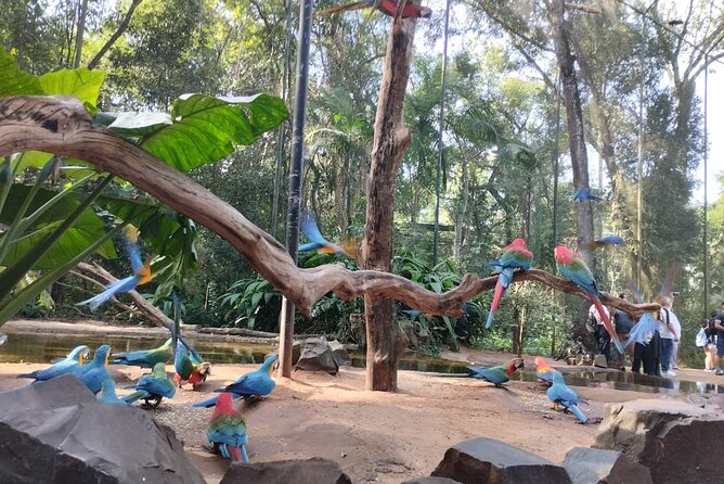 Brazilian Falls, Parque das Aves and Itaipu, hotels in Brazil - Itaipu Binacional, a giant built by people