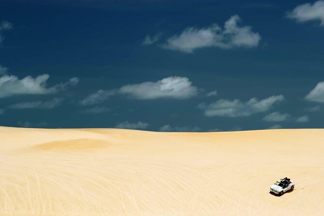 Buggy Tour along the North Coast (Genipabu) - Key points to know before booking