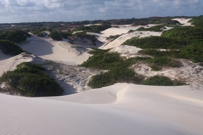 Buggy Tour along the North Coast (Genipabu) - Pitangui Lagoon brings a slower pause