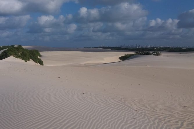 Buggy Tour along the North Coast (Genipabu) - Genipabu dunes: the main event