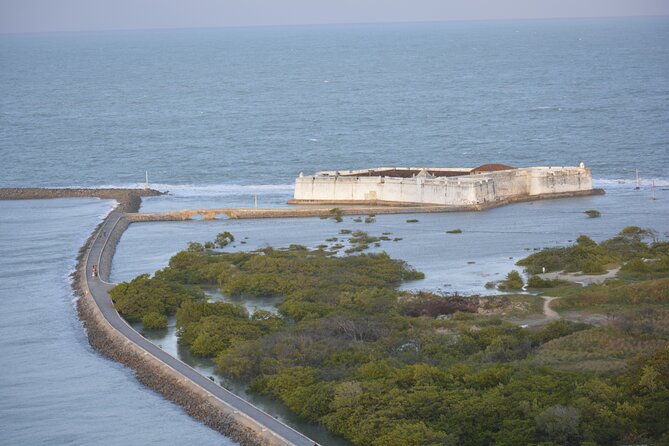 Buggy Tour in Natal - North Coast - Aquario Natal, a compact wildlife stop