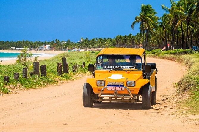 Buggy Tour Ponta to Ponta Port DE Galinhas - Why This Route Works for a First Day in Porto de Galinhas