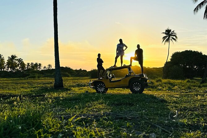 Buggy Tour Ponta to Ponta Port DE Galinhas - Price, Pickup, and Value for a Small Group