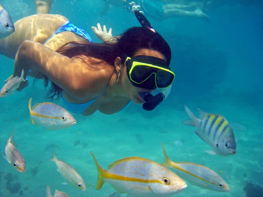 Búzios Day Trip from Rio de Janeiro - Why Búzios makes a good day trip from Rio