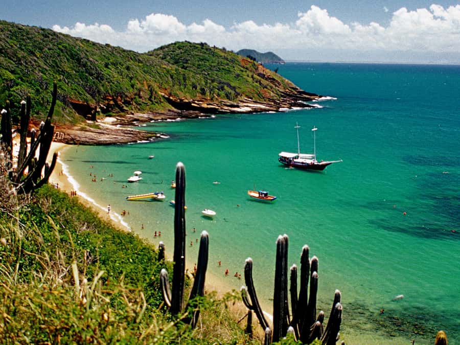 Búzios Day Trip from Rio de Janeiro - The long road north from Rio