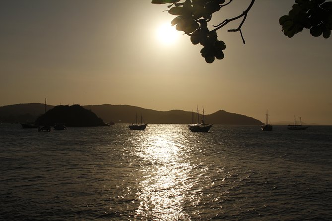 Buzios Day Trip with Lunch, City Tour and Cruise from Rio de Janeiro - The boat option or free time on land?