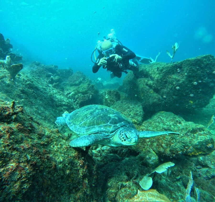 Buzios - DIVING EXPERIENCE - Key Things to Know Before You Book
