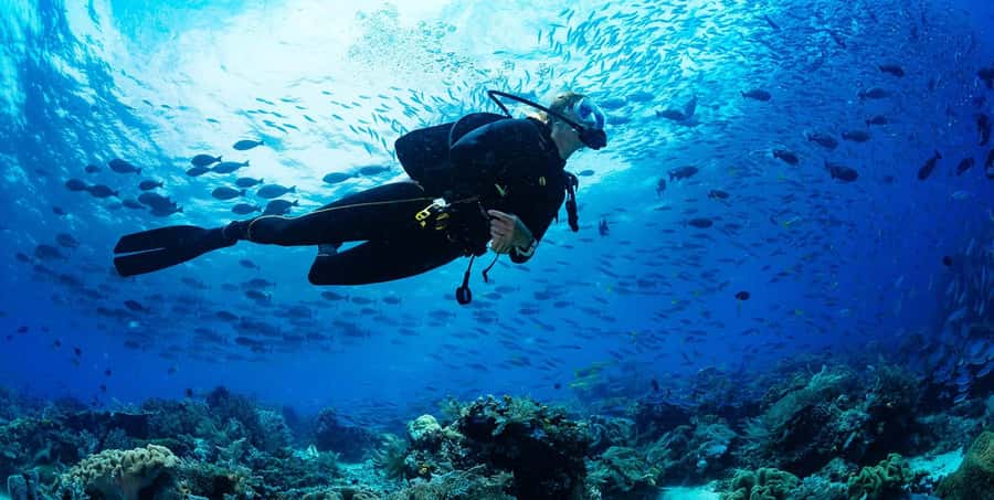 Buzios - DIVING EXPERIENCE - What This Búzios Sea Experience Actually Offers
