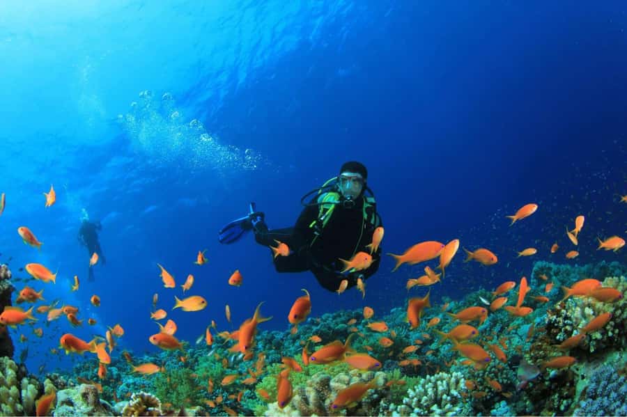 Buzios - DIVING EXPERIENCE - The 90-Minute Class and Water Adaptation