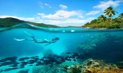 DIVING EXPERIENCE