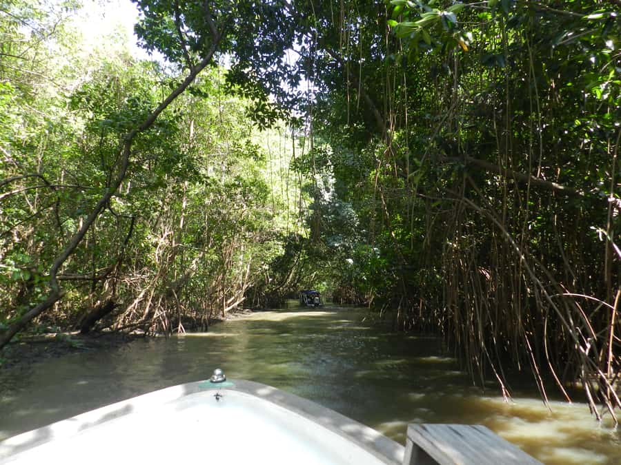 Caburé - Boat tour on the Rio Preguiças - Leaving Barreirinhas at 08:00