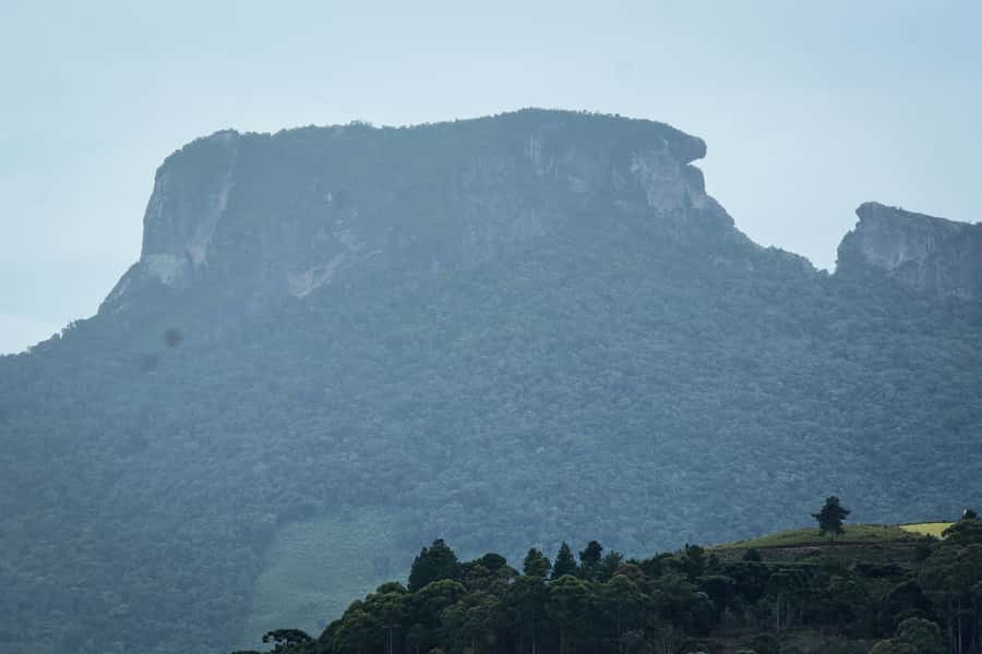 Campos do Jordão: Full-Day Private Tour from São Paulo - What the $600 private price really buys