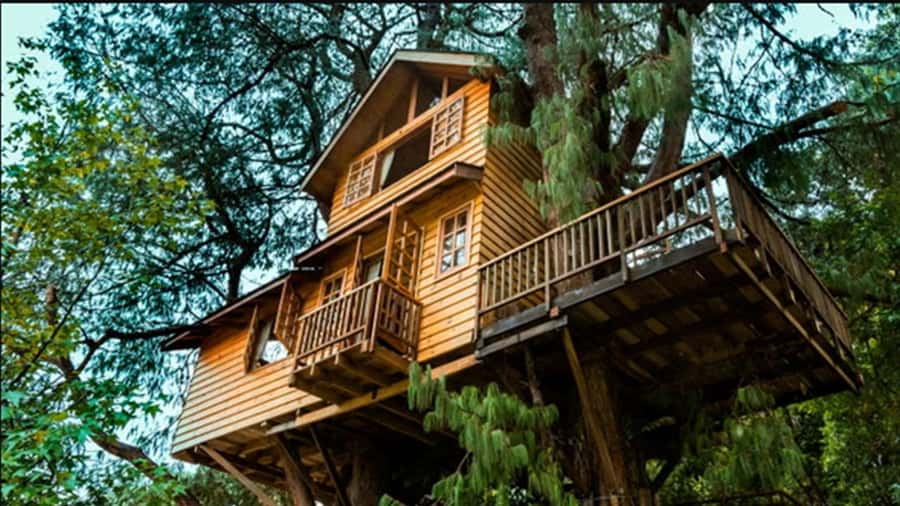 Campos do Jordão: Private 8 Hour Tour - Starting in São Paulo and climbing to the city portal