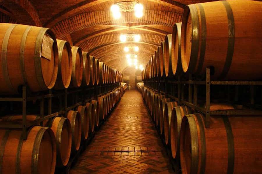 Canela/Gramado: South Wineries, Wine Train, & Italian Park - Maria Fumaça, the trip’s most enjoyable ride