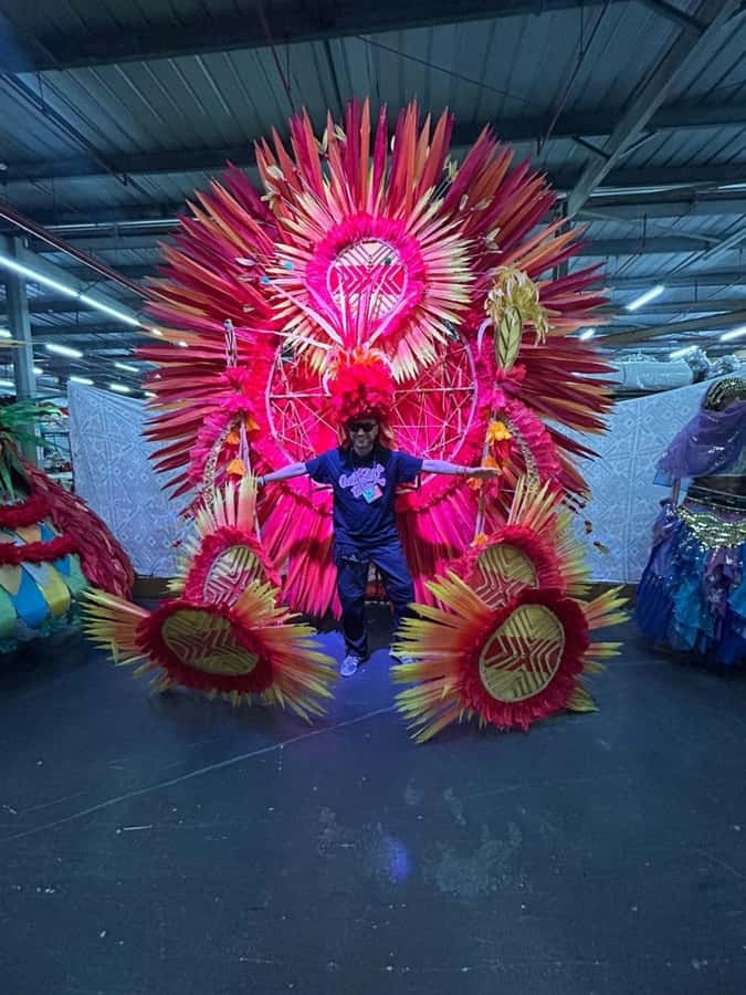 Carnival Experience: Behind the Scenes of Carnival Magic - Key points about Carnival Magic