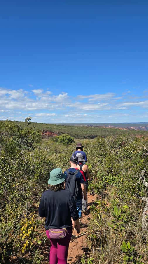 Chapada dos Guimarães:Cidade de Pedra + Vale do Rio Claro with Véu de Noiva - Why this six-and-a-half-hour route works