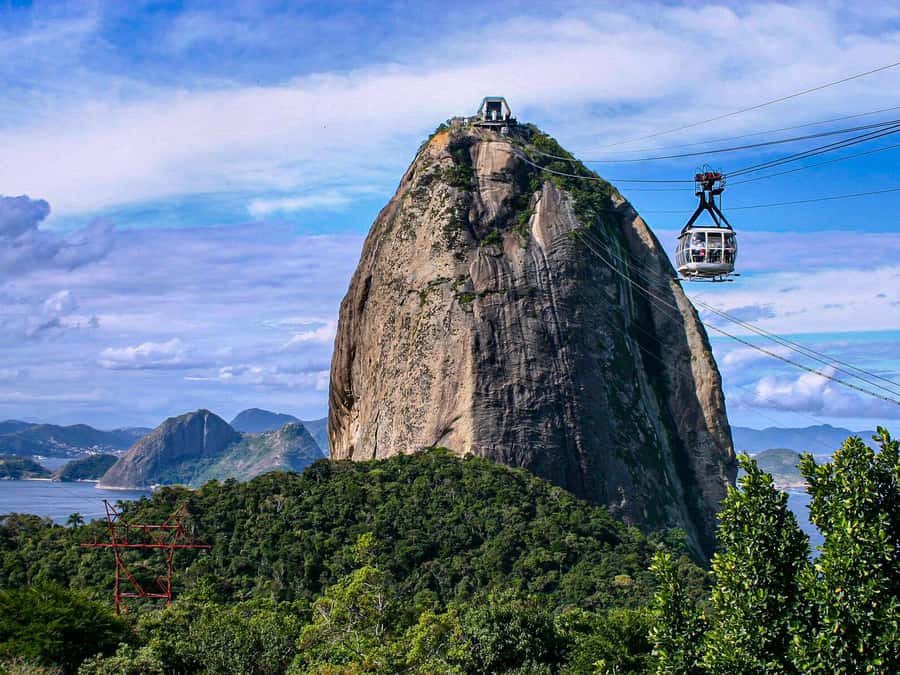 Christ the Redeemer and Escadaria Selarón Half-Day Tour - Riding through Tijuca rainforest to Corcovado