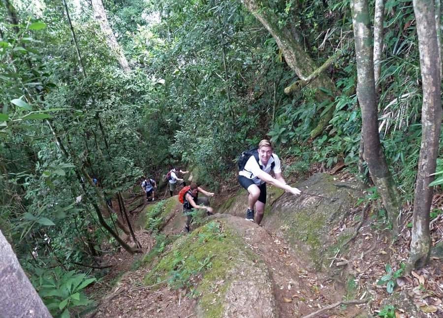 Christ the Redeemer through Lage Park 6-Hour Hiking Tour - The 2.5-hour climb is the real heart of the tour