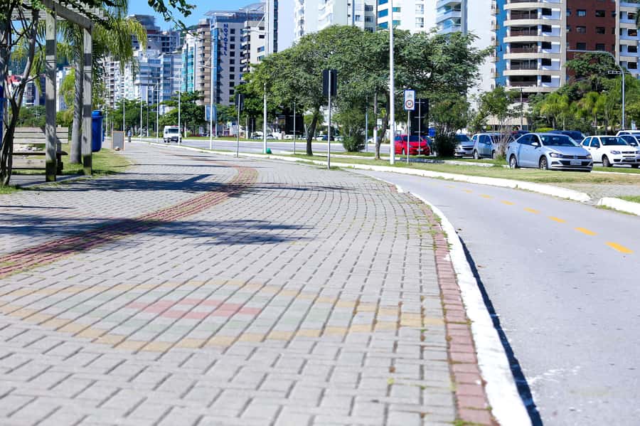 City Tour Florianópolis - Projeto Tamar and the Sea Turtle Visit