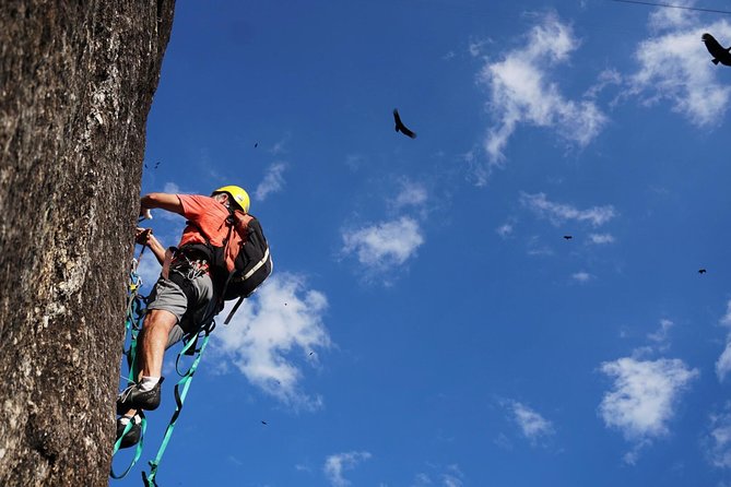 Climb Rio de Janeiro: Rock Climbing Tailored for All Levels - What happens from Praça General Tibúrcio to the rock
