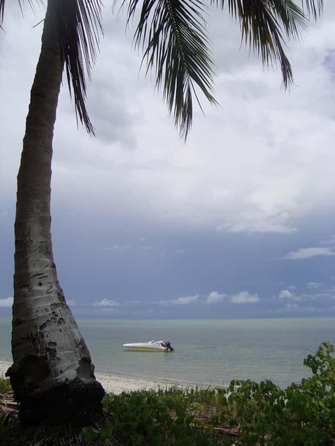 Colonial North Coast beaches - Full-Day Tour - What kind of day is this?