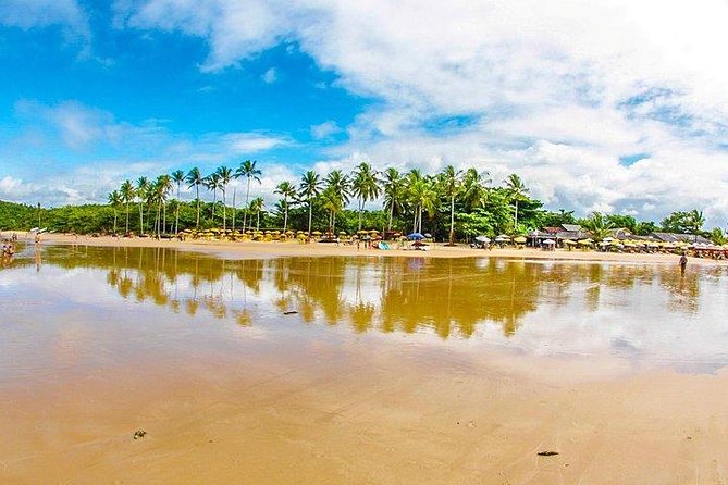 Combo Arraial da Ajuda / Trancoso / Espelho / City tour - by Coconut Experience - What to Know Before You Book