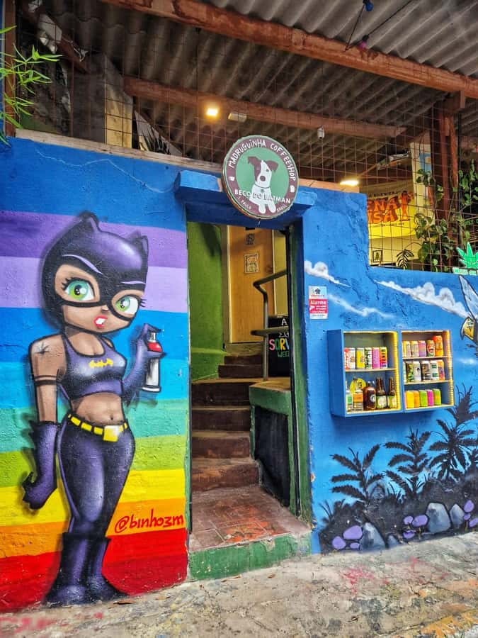 Companionship of a bilingual guide in São Paulo - Conversation, translation, and everyday help