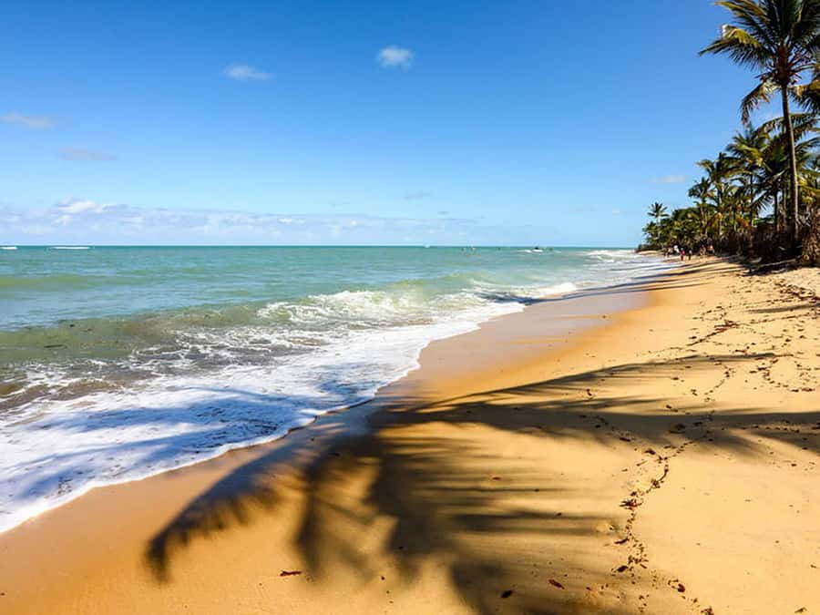 Cumbuco in 1 Day: Unforgettable Tour - Riding across Cumbuco’s golden dunes