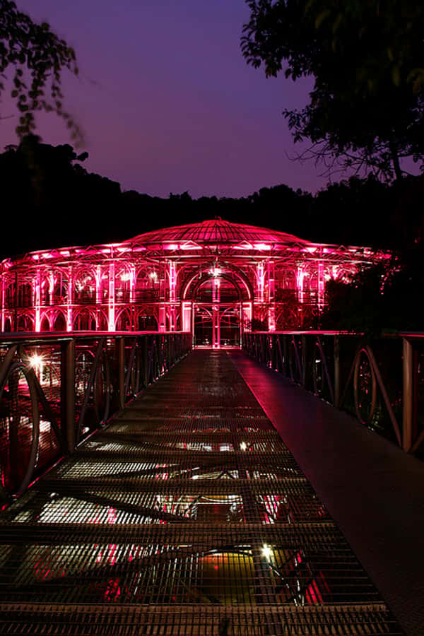 Curitiba: 4-Hour City-By-Night Tour with Dinner - Why Curitiba works well after dark