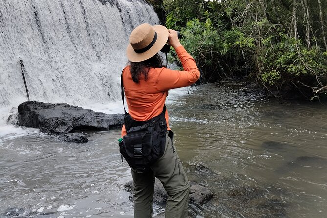 Day tour Cataratas Brazil and Argentina, both small group - Brazil: broad waterfall views and quicker movement