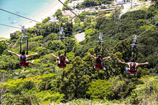 Day tour in Balneário Camboriú and Unipraias Park with Cable Cars - Oceanic Aquarium: one hour with admission extra