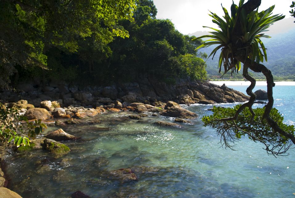 Day Tour to Trindade: Nature and Sea Adventure from Paraty - The 30-minute trail to Caixa D’aço Natural Pool