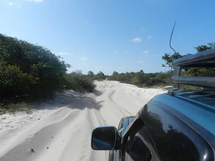 Day trip to Atins through the Lencois Maranhenses - Who should book this 7-hour trip