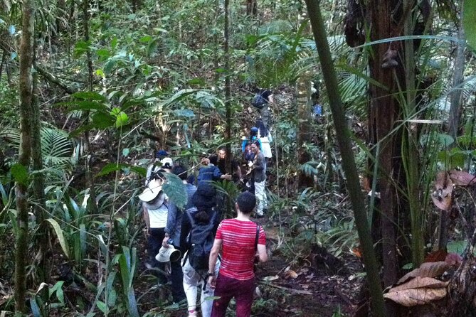 Dinner and Overnight in the Jungle in Manaus - Key points to know before you go