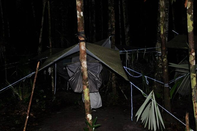 Dinner and Overnight in the Jungle in Manaus - Environmental questions you should consider