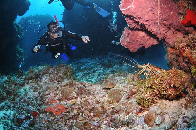 Discover scuba diving in Búzios - A No-Rush Water Adaptation Period