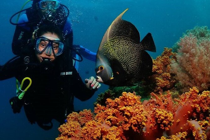 Discover scuba diving in Búzios - The Photos, Video, and Marine Memories