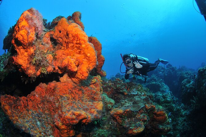 Discover scuba diving in Búzios - Timing, Weather, and Cancellation
