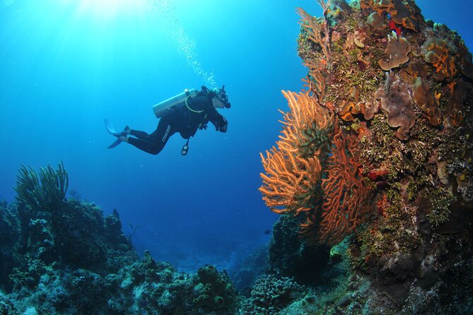 Discover scuba diving in Búzios - Learning the Basics Before Entering the Reef