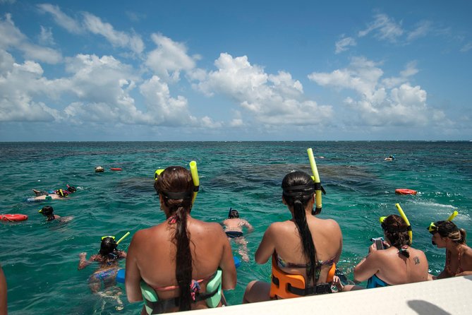 Discover Underwater Beauty: Explore Maracajaú's Parrachos Reef - Optional activities and their real cost