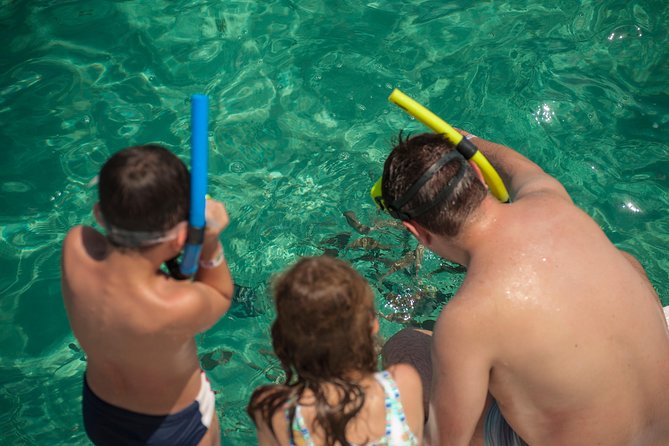 Discover Underwater Beauty: Explore Maracajaú's Parrachos Reef - What you can see from the floating platforms