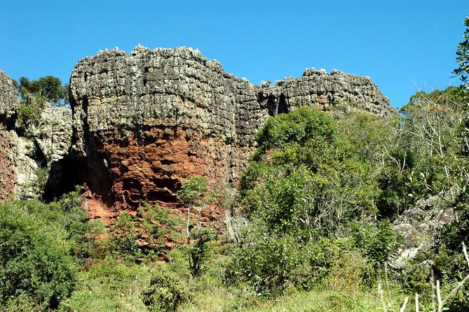 Discover Vila Velha State Park Tour and Witmarsum Colony - Booking, pickup, and cancellation details